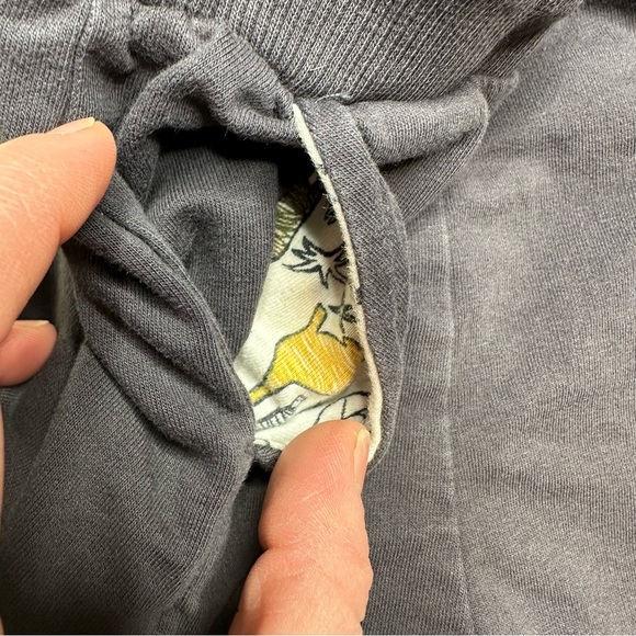 Shorts Grey Size 5T - Picture 4 of 16